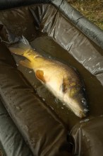 Slika nije definirana 